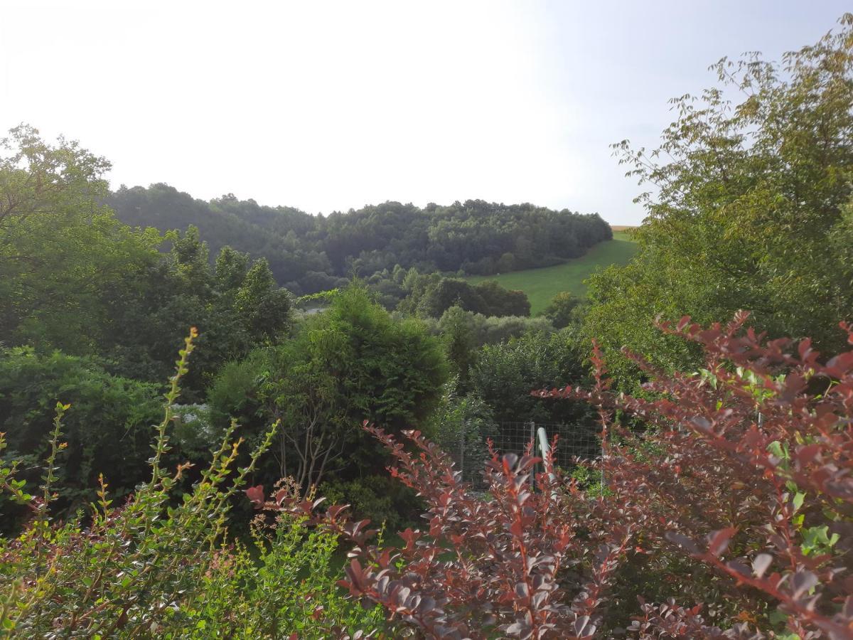Penzion Zahrada Nad Rekou, Restaurace A Kavarna - Parkovani Gratis Zlata Koruna Exterior photo