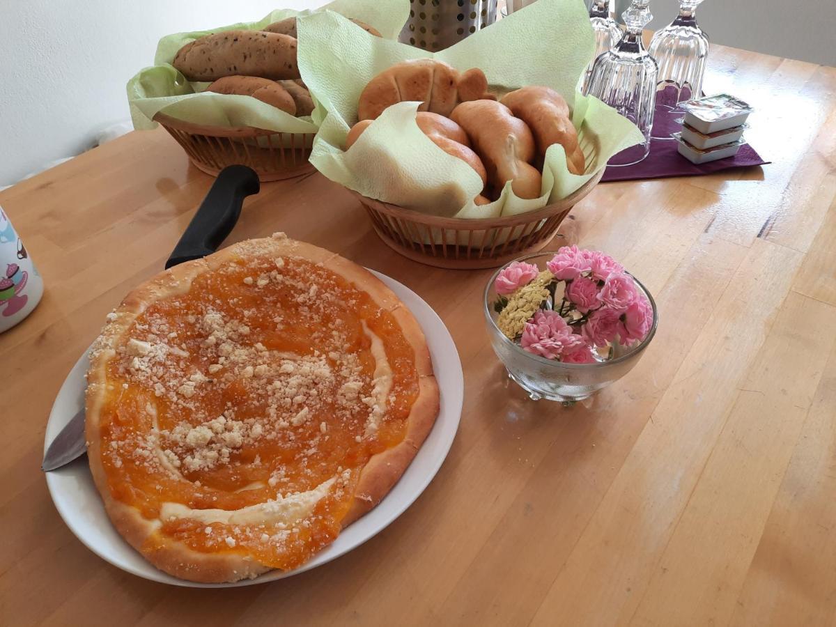 Penzion Zahrada Nad Rekou, Restaurace A Kavarna - Parkovani Gratis Zlata Koruna Exterior photo
